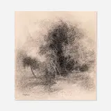 Richard Mayhew, Tree Study