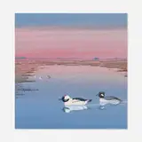 Edward Von Siebold Dingle, Bufflehead Duck, gouache on paperboard