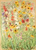 Paul Maze, Field flowers, pastel on paper