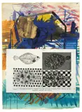 Sigmar Polke, Farbwechsel bei Plattfischen