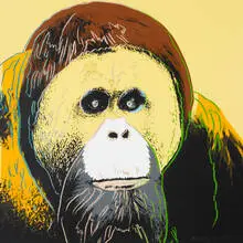 Orangutan (from Endangered Species) by Andy Warhol, 1983, screenprint on paper, sold Feb 2009
