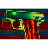 Ed Paschke, Starry Nite