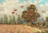 Robert W. Milliken, Partridges over the hedge