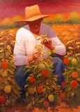 Gary Ernest Smith, Picking tomatoes