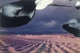 Gerhard Richter, 8.2.92, 1992, Lack auf Farbfotografie
