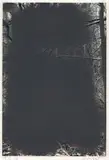 13.2.08 (Grauwald) by Gerhard Richter, 2008, Lack auf Farbfotografie, sold May 2024