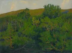 Walter Leistikow, Märkische Kiefern (Müggelberge bei Berlin), Öl auf Leinwand. Randdoubliert