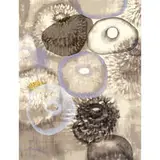 Ross Bleckner, Happiness for Instance, III, 1997, screenprint on paper