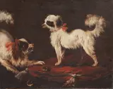 Pier Francesco Cittadini, Two spaniels on a red cushion, oil on canvas, a fragment