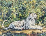 Jan Martin McGuire, White tiger