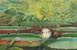 Karl Zorn, Victoria regia. 1920er Jahre, Öl auf Leinwand
