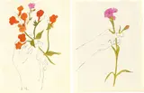 Hand with Flowers / Carnation by Andy Warhol, Um 1957, 2 handaquarellierte Offsetlithographien, sold Jul 2020