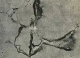 Aaron Siskind, untitled (Cracked Wall)