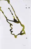 Gary Hume, London Plane Leaves