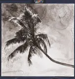 Hans Op de Beeck, PALM TREE, 2012, Wasserfarbe und Ölfirnis auf Leinwand
