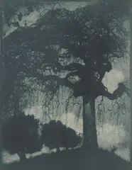 Rudolf Koppitz, Esche, Um 1912, Vintage. Bromölumdruck