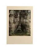 Jim Dine, Paris Smiles in Darkness, 1976, Etching, drypoint, lift and soft ground from five copper plates