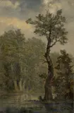 Carl Gustav Carus, Waldlandschaft