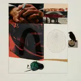 Robert Rauschenberg, Horse Feathers, 1972, Silkscreen collage