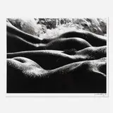 Lucien Clergue, Géantes de la mer, Camargue