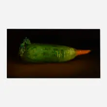 Derrick Guild, Mooli Carrott, 2006, oil on linen