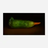 Derrick Guild, Mooli Carrott, 2006, oil on linen