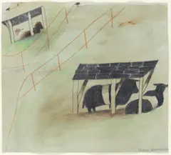 Mary Newcomb, Rare Breeds Park, pencil and watercolour on paper