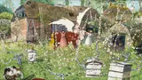 Richard Adams, Ox, varnished pastel and gouache on paper