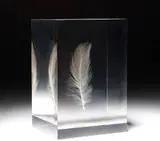 Floating Feather by Shiro Kuramata, 1989, Sealed feather in acrylic, sold Jun 2009