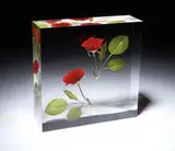 Sealing of Roses by Shiro Kuramata, 1989, Sealed roses in acrylic, sold Jun 2009
