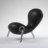 Charles Turzak, Embryo chair