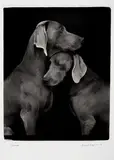 William Wegman, Friends
