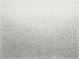 Bean Finneran, Untitled, 2000, graphite on paper