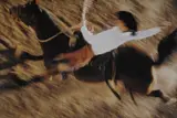 Bronco Rider by Ernst Haas, 1957, Archival pigment print, offered Feb 2021