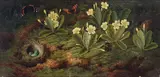 Primroses, a bird's nest and butterflies on a forest floor by English School, oil on canvas, sold Oct 2021