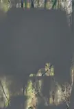 Wald II by Gerhard Richter, 2008, Lackfarbe auf Farbfotografie, mit beiliegendem Künstlerbuch, sold Jun 2023