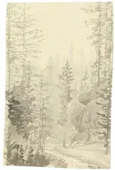 Carl Gustav Carus, Tannenwald an einem Nebelmorgen, Pinsel in Grau auf Bütten (Wasserzeichen: I S)
