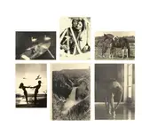 Hans-Peter Feldmann, Sonntagsbilder, 1977, 21 Offsets