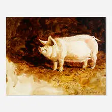 Jamie Wyeth, Untitled (pig), watercolor and graphite on paper