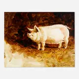 Jamie Wyeth, Untitled (pig)