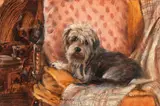 Henry Koehler, Cuthbert on a loveseat, oil on board