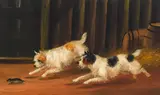 Two terriers in a stable and a companion painting (a pair) by English School, late 19th early 20th Century, both oil on board, sold Nov 2021