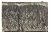 Himmelsmoor by Horst Janssen, 1971, Farbstift auf Velin, sold Nov 2011
