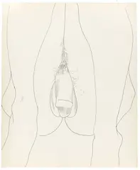 Andy Warhol, Seated Male Nude. 1950er, Kugelschreiber auf Papier