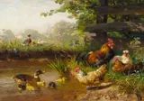 Carl Jutz I, Chickens and ducks on a pond, oil on panel