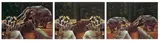 Francis Alÿs, Bridges