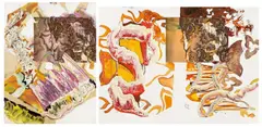 Pia Fries, Musselin III, 2005, Öl und Siebdruck auf Holz. Zweiteilig