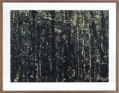Axel Hütte, Caño Tonino-1, 2007, C-Print, im Künstlerrahmen