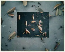 Jerry Birchfield, Details, 1415, 1406, 1408 (4), 1978, Cibachrome