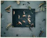 Jerry Birchfield, Details, 1415, 1406, 1408 (4), 1978, Cibachrome